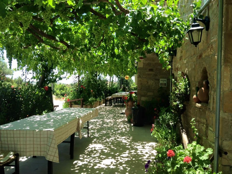 Spring Of Life Forever Amargeti Exterior foto